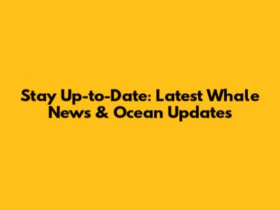 Stay Up-to-Date: Latest Whale News & Ocean Updates