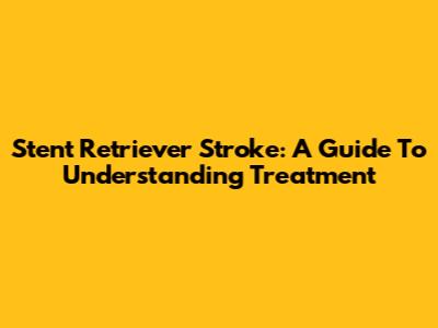 Stent Retriever Stroke: A Guide To Understanding Treatment
