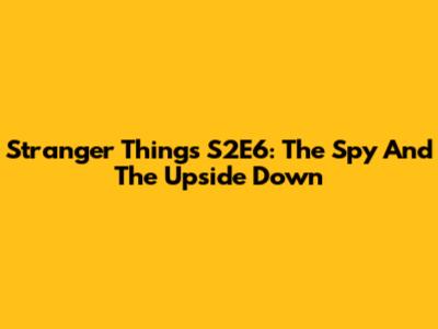 Stranger Things S2E6: The Spy And The Upside Down