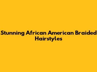 Stunning African American Braided Hairstyles