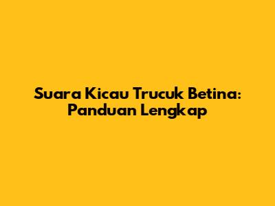 Suara Kicau Trucuk Betina: Panduan Lengkap