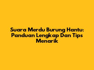 Suara Merdu Burung Hantu: Panduan Lengkap Dan Tips Menarik