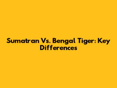 Sumatran Vs. Bengal Tiger: Key Differences
