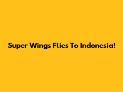 Super Wings Flies To Indonesia!