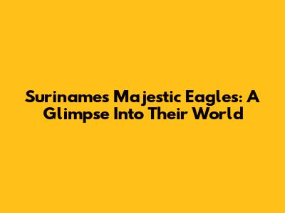 Suriname's Majestic Eagles: A Glimpse Into Their World