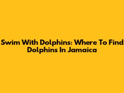 Swim With Dolphins: Where To Find Dolphins In Jamaica