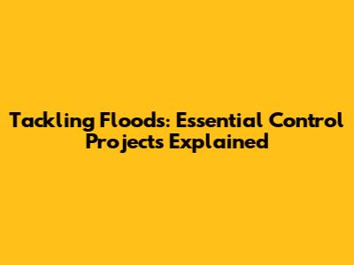 Tackling Floods: Essential Control Projects Explained