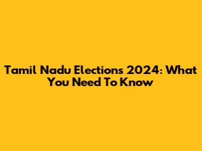 Tamil Nadu Elections 2024: What You Need To Know