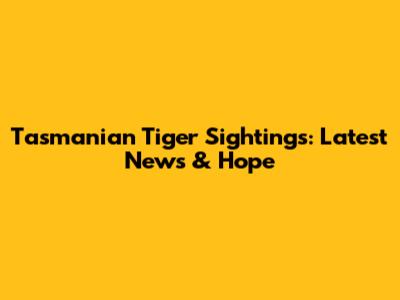 Tasmanian Tiger Sightings: Latest News & Hope