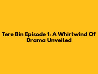 Tere Bin Episode 1: A Whirlwind Of Drama Unveiled