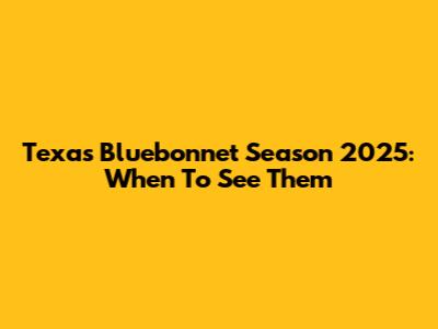 Texas Bluebonnet Season 2025: When To See Them