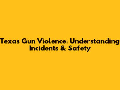 Texas Gun Violence: Understanding Incidents & Safety