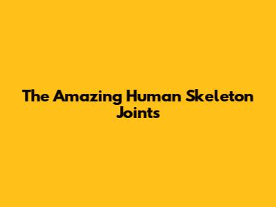 The Amazing Human Skeleton Joints