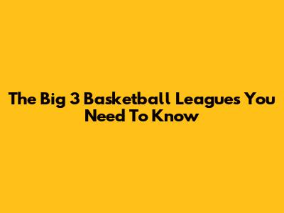 The Big 3 Basketball Leagues You Need To Know