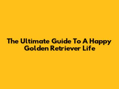 The Ultimate Guide To A Happy Golden Retriever Life