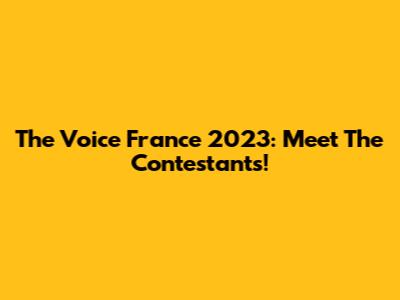 The Voice France 2023: Meet The Contestants!