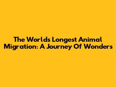 The World's Longest Animal Migration: A Journey Of Wonders