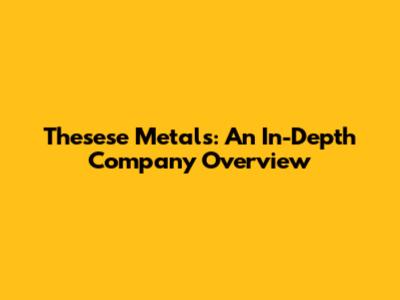 Thesese Metals: An In-Depth Company Overview