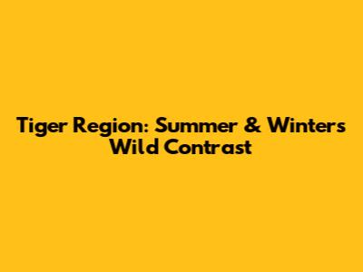 Tiger Region: Summer & Winter's Wild Contrast