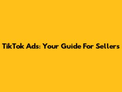 TikTok Ads: Your Guide For Sellers