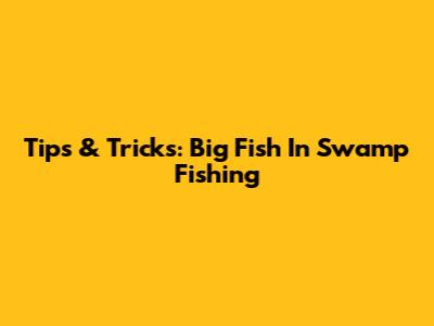 Tips & Tricks: Big Fish In Swamp Fishing
