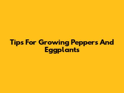 Tips For Growing Peppers And Eggplants