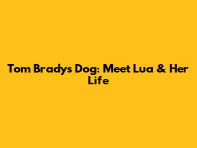 Tom Brady's Dog: Meet Lua & Her Life