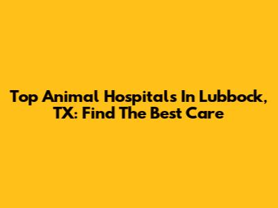 Top Animal Hospitals In Lubbock, TX: Find The Best Care