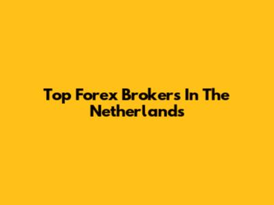 Top Forex Brokers In The Netherlands