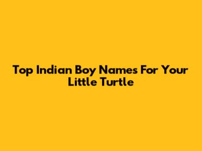 Top Indian Boy Names For Your Little Turtle