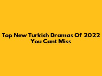 Top New Turkish Dramas Of 2022 You Can't Miss
