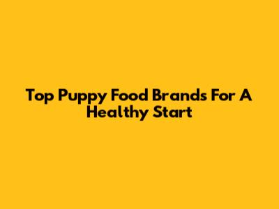 Top Puppy Food Brands For A Healthy Start