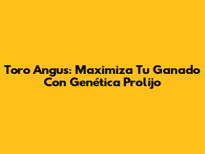 Toro Angus: Maximiza Tu Ganado Con Genética Prolijo