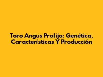Toro Angus Prolijo: Genética, Características Y Producción
