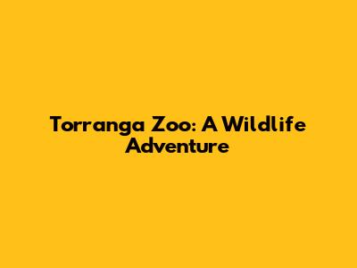 Torranga Zoo: A Wildlife Adventure