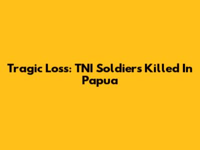 Tragic Loss: TNI Soldiers Killed In Papua