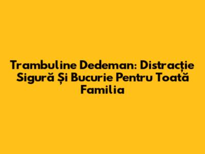 Trambuline Dedeman: Distracție Sigură Și Bucurie Pentru Toată Familia