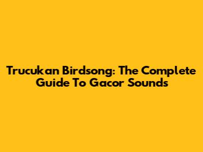 Trucukan Birdsong: The Complete Guide To Gacor Sounds
