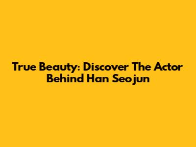 True Beauty: Discover The Actor Behind Han Seojun