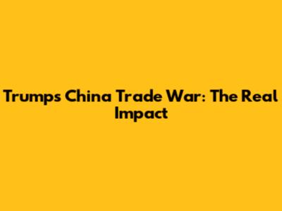 Trump's China Trade War: The Real Impact