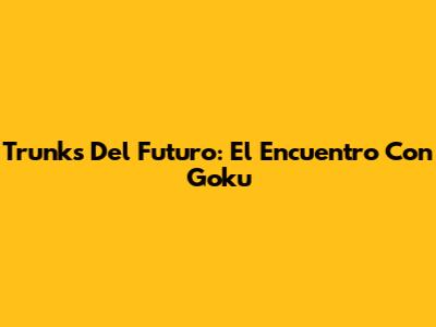 Trunks Del Futuro: El Encuentro Con Goku