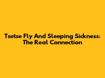 Tsetse Fly And Sleeping Sickness: The Real Connection
