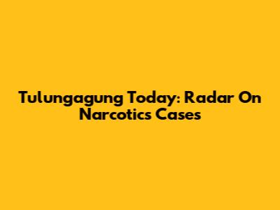 Tulungagung Today: Radar On Narcotics Cases