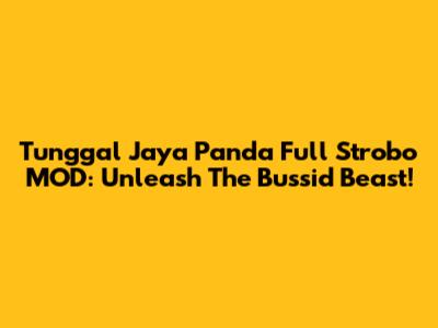 Tunggal Jaya Panda Full Strobo MOD: Unleash The Bussid Beast!