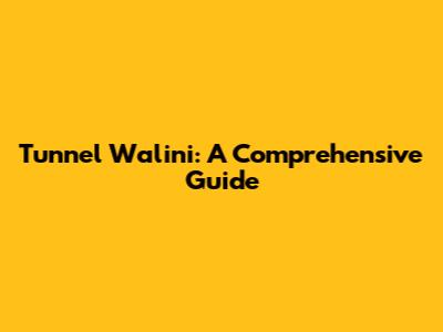 Tunnel Walini: A Comprehensive Guide