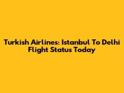 Turkish Airlines: Istanbul To Delhi Flight Status Today