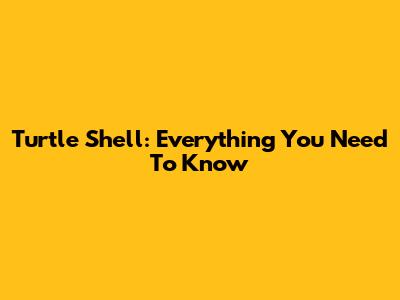 Turtle Shell: Everything You Need To Know