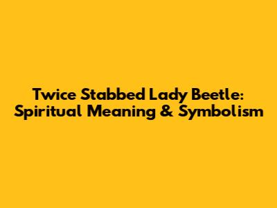 Twice Stabbed Lady Beetle: Spiritual Meaning & Symbolism