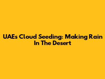UAE's Cloud Seeding: Making Rain In The Desert