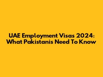 UAE Employment Visas 2024: What Pakistanis Need To Know